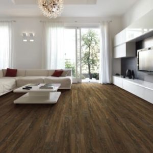 COREtec Plus HD